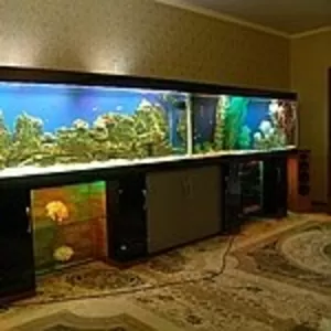 куплю аквариум