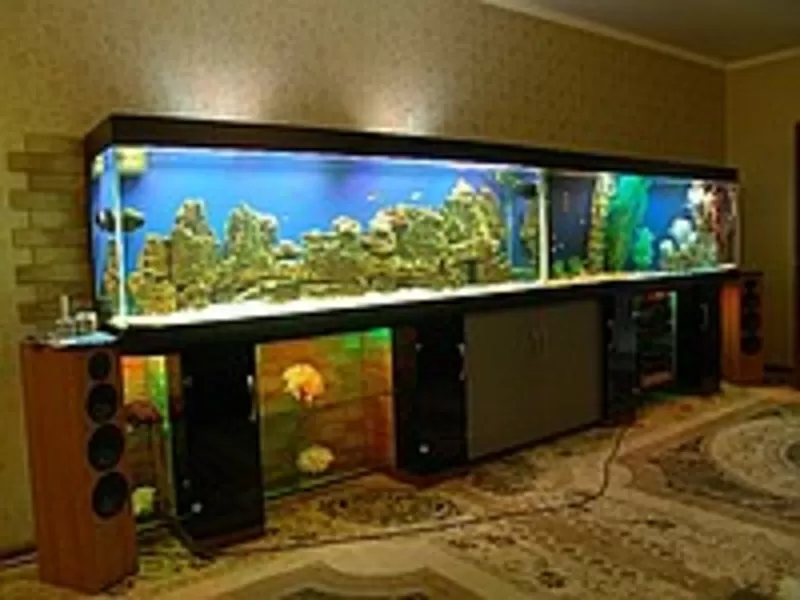 куплю аквариум