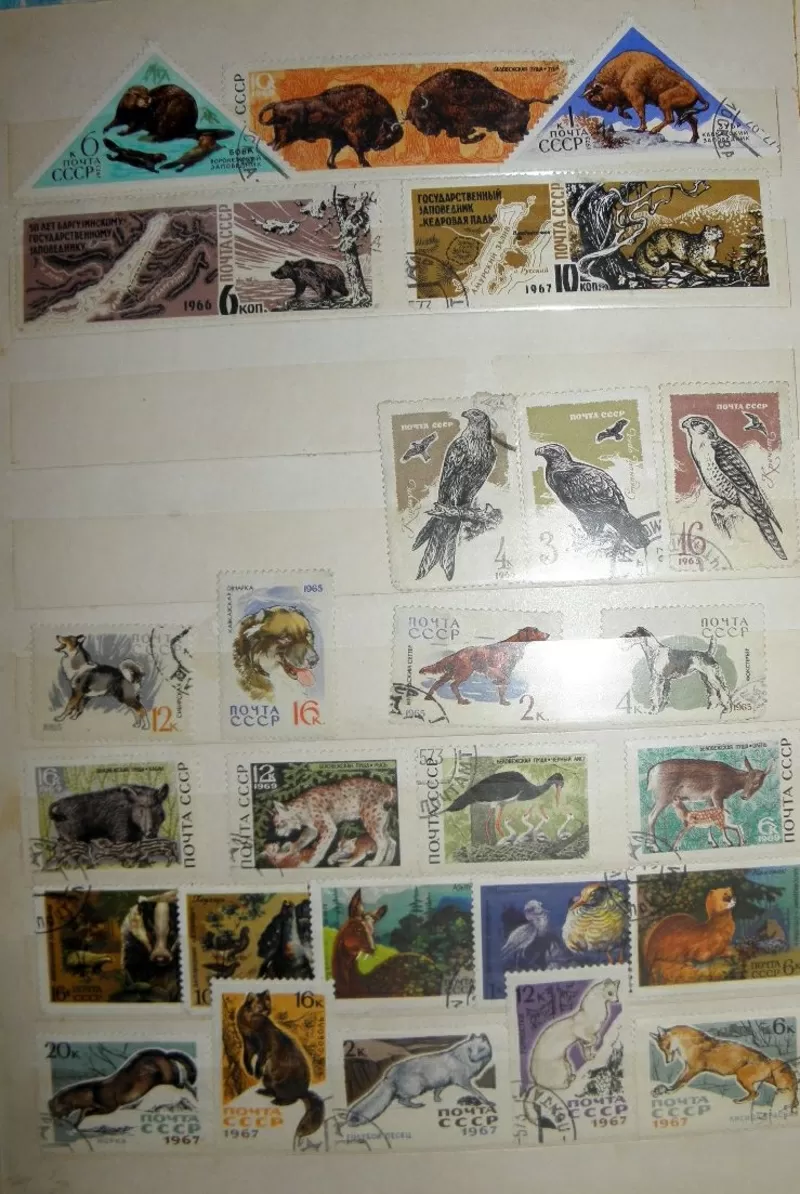 Коллекционные марки СССР 6